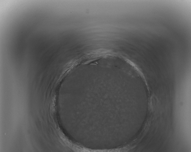 X0000080770018200612221448