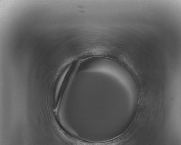 X0000080770019200612221448