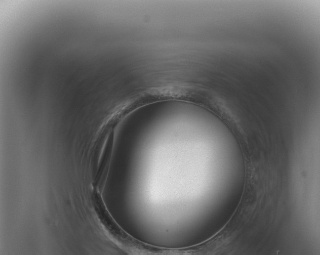 X0000080770020200612221448