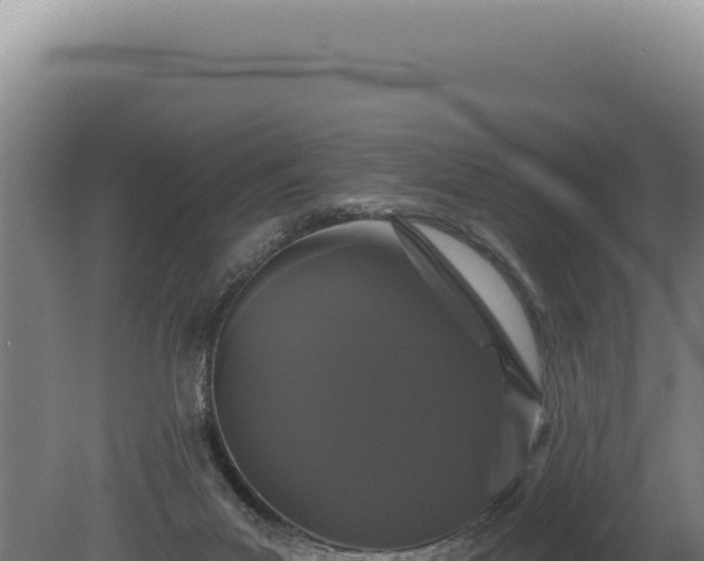 X0000080770023200612221448