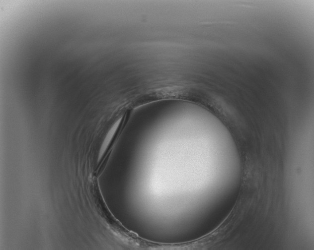 X0000080770025200612221448