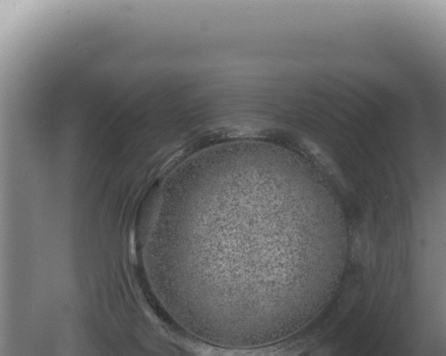 X0000080770026200612221448