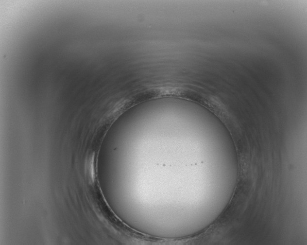 X0000080770028200612221448