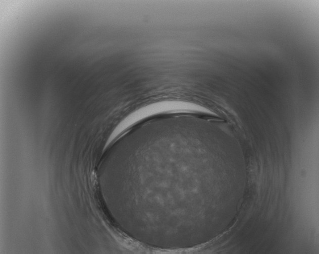 X0000080770029200612221448