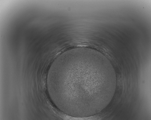 X0000080770030200612221448