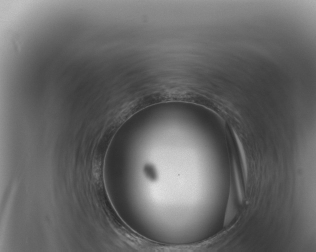 X0000080770033200612221448