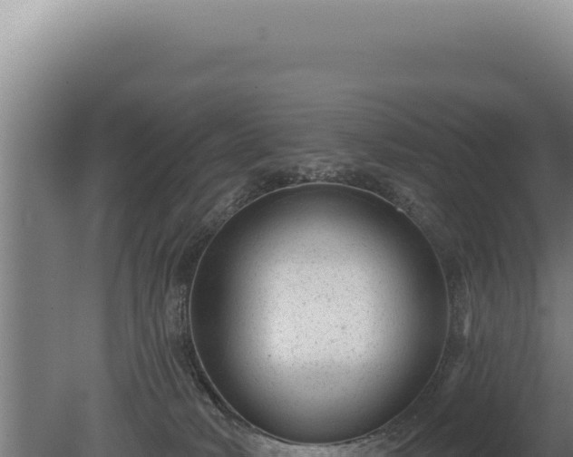 X0000080770034200612221448