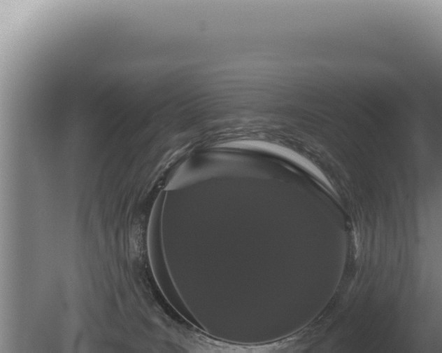 X0000080770035200612221448