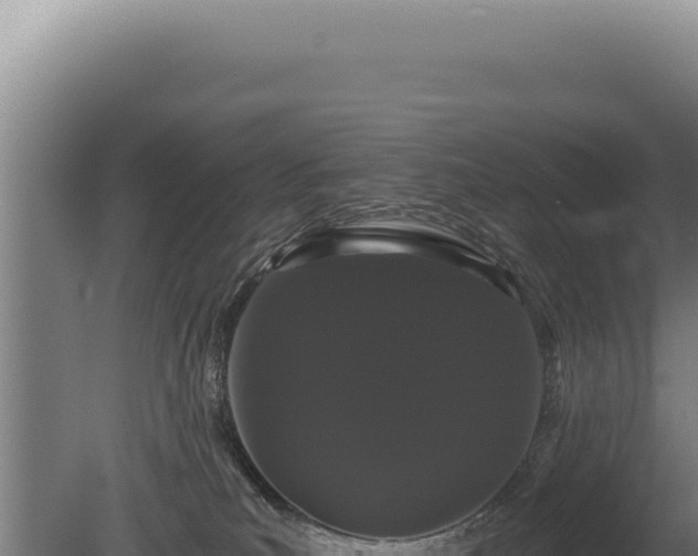 X0000080770039200612221448