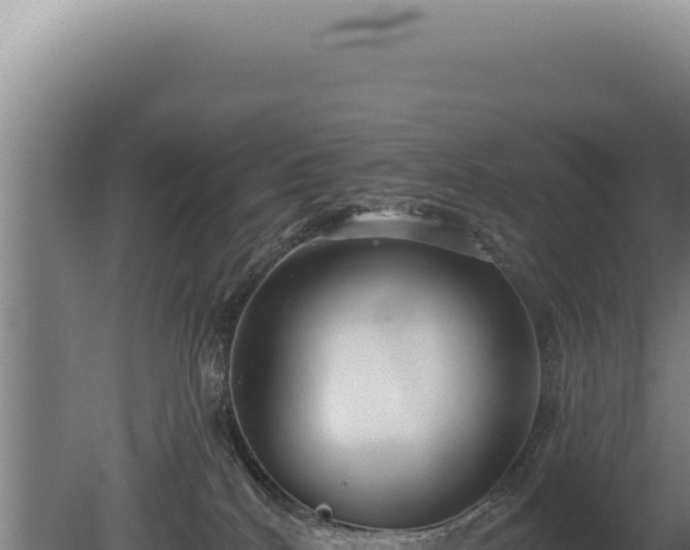 X0000080770040200612221448