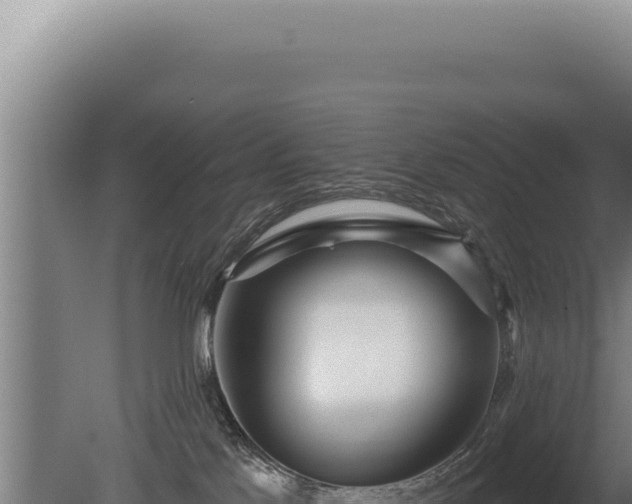 X0000080770041200612221448