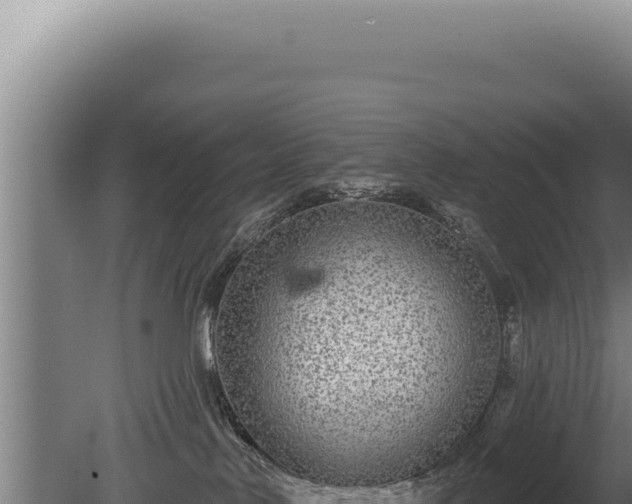 X0000080770042200612221448