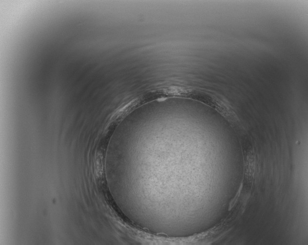 X0000080770043200612221448