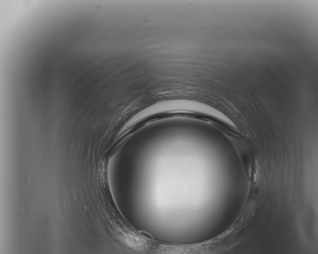 X0000080770045200612221448