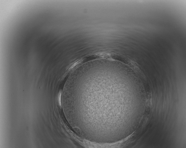 X0000080770047200612221448