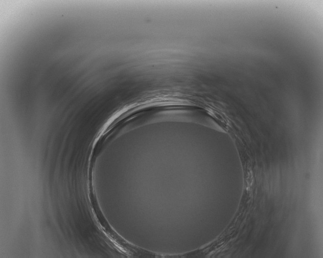 X0000080770052200612221447
