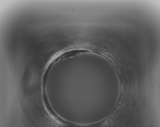 X0000080770054200612221447