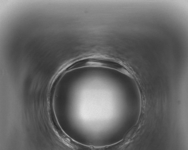 X0000080770055200612221447