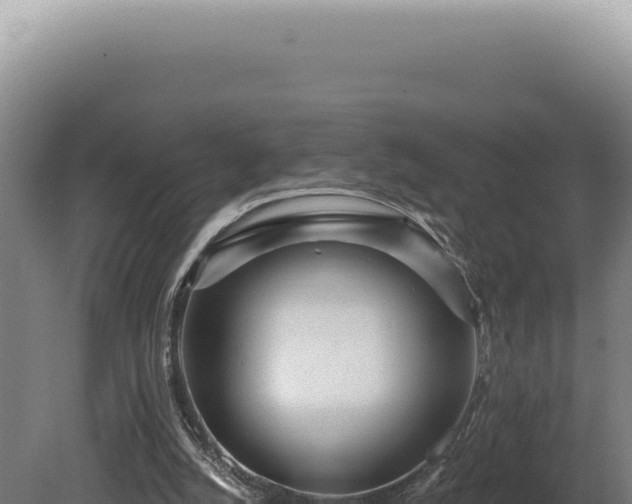X0000080770056200612221447