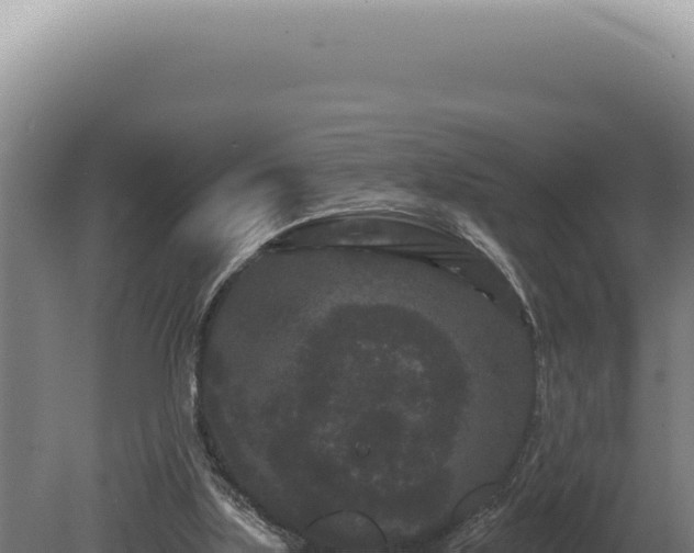 X0000080770059200612221447