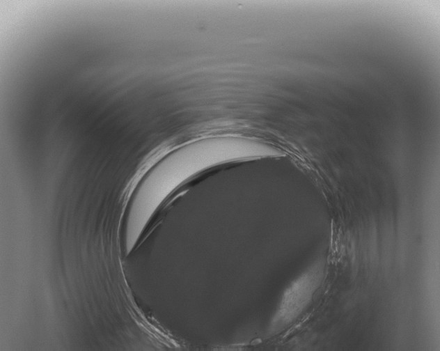 X0000080770099200612221447