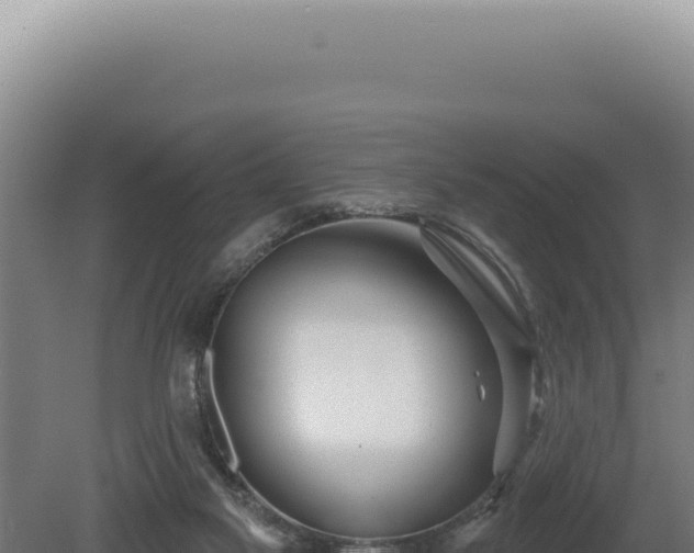 X0000080770117200612221446
