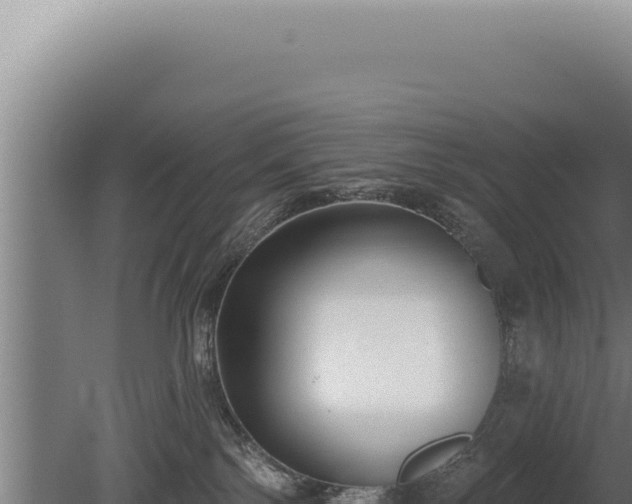 X0000080770138200612221446