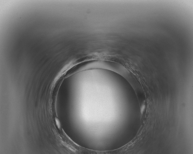 X0000080770150200612221445