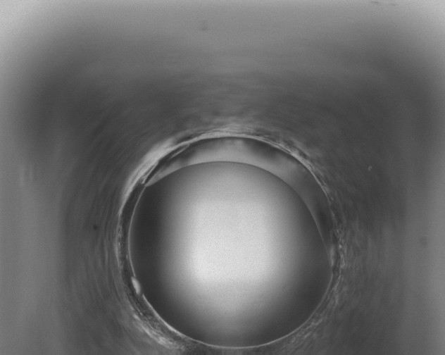 X0000080770152200612221445