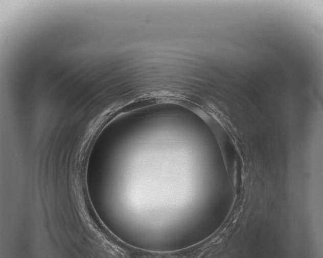 X0000080770193200612221445