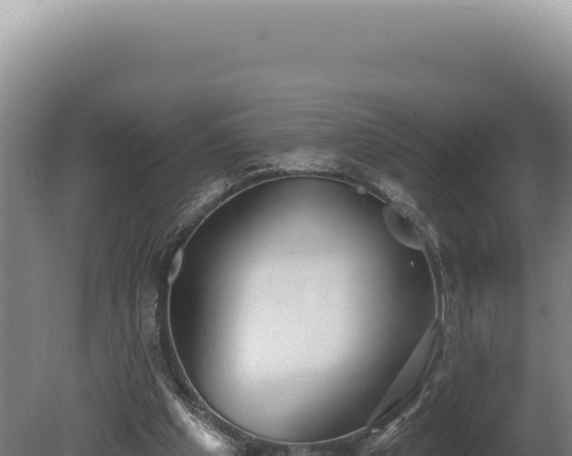 X0000080770201200612221445