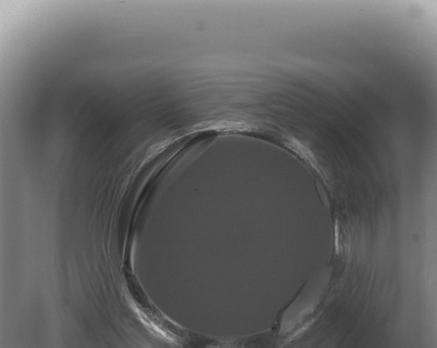 X0000080770205200612221445