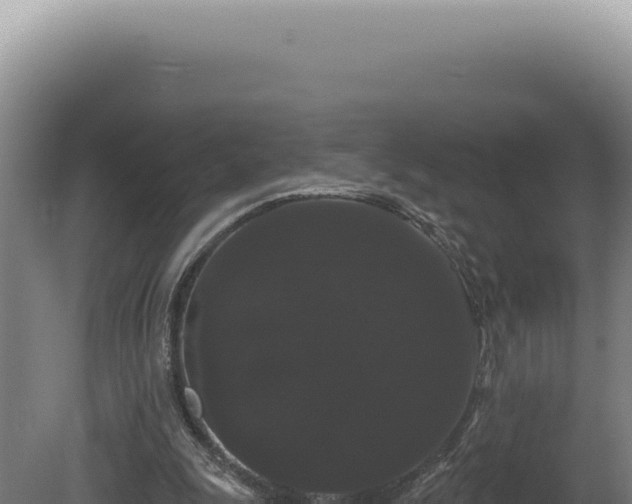 X0000080770247200612221444