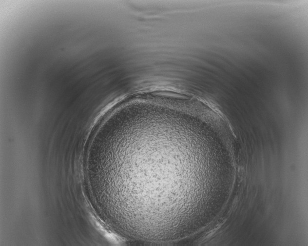 X0000080770390200612221442