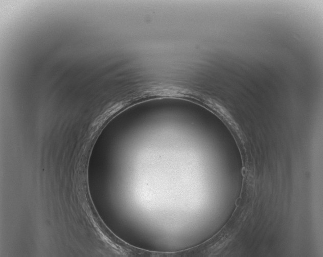 X0000080770433200612221440