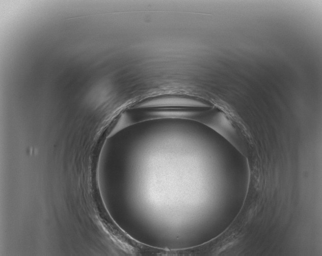 X0000080770442200612221440
