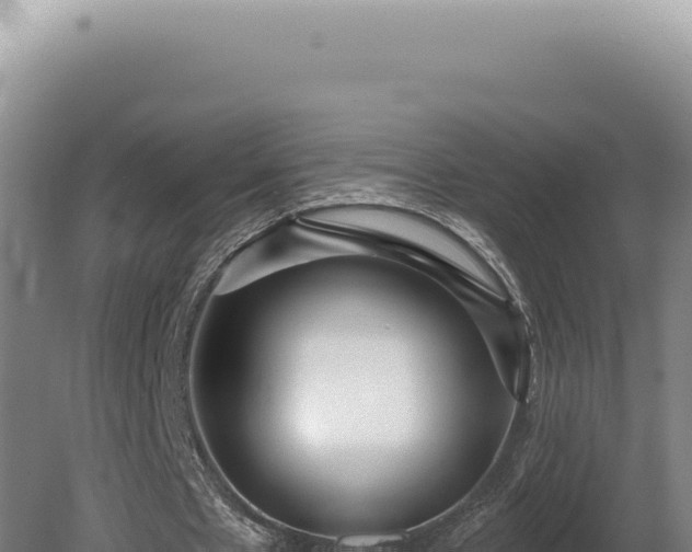 X0000080770481200612221440