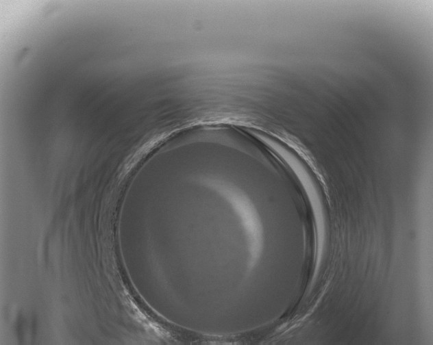 X0000080770577200612221439