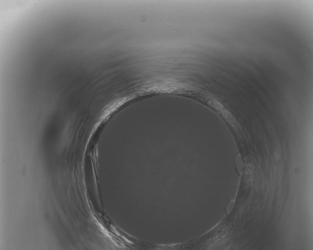 X0000080770626200612221437