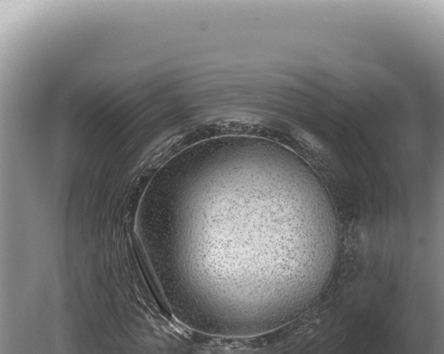 X0000080770774200612221435
