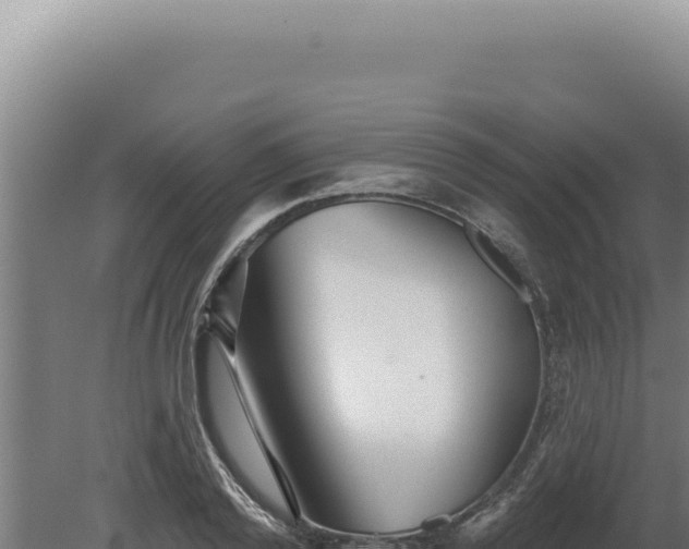 X0000080770792200612221435