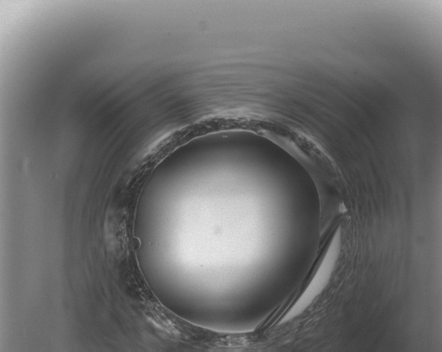 X0000080770968200612221432