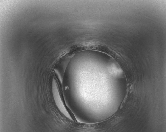 X0000080771156200612221429