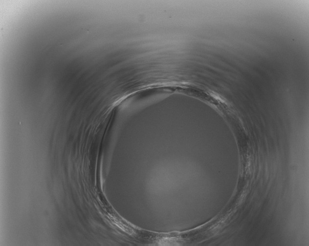 X0000080771161200612221429