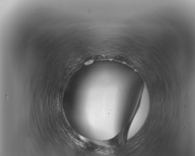 X0000080771298200612221426