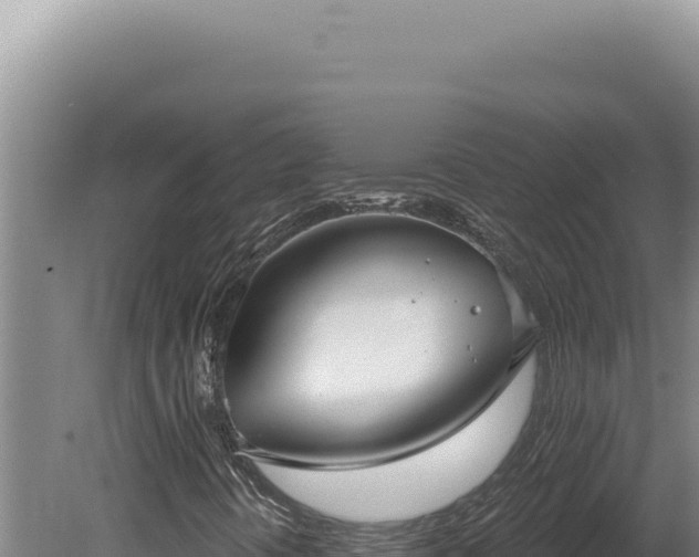 X0000080771394200612221424