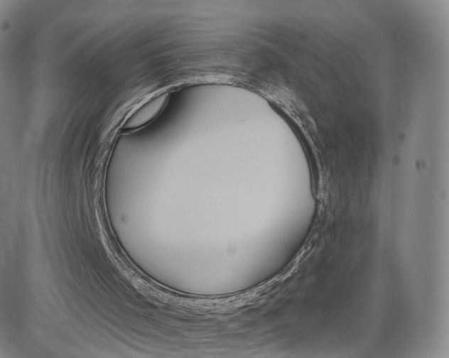 X0000080770001200701021134