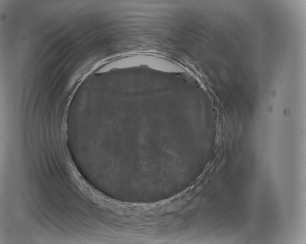 X0000080770002200701021134