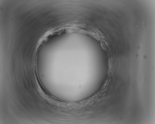 X0000080770003200701021134