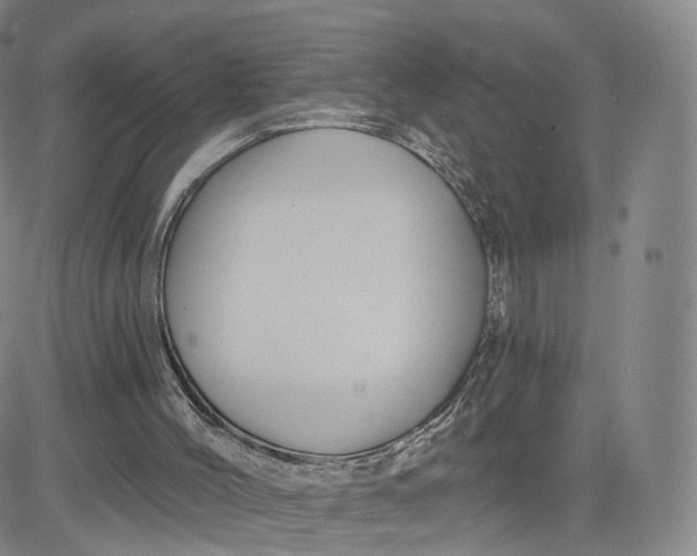 X0000080770004200701021134